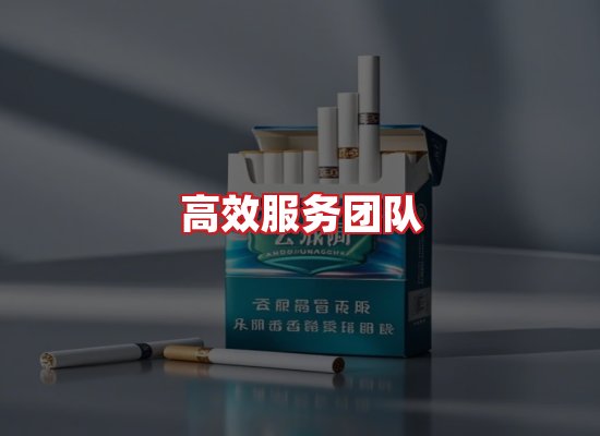 专业团队